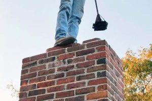 chimney cleaning guy